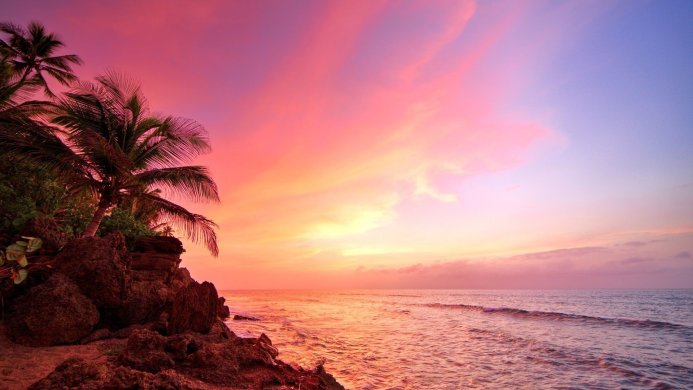 Tropical beach sunset with palm trees, pink and orange sky