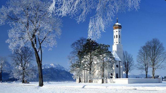 A white church and trees covered with frost against a clear blue sky in winter