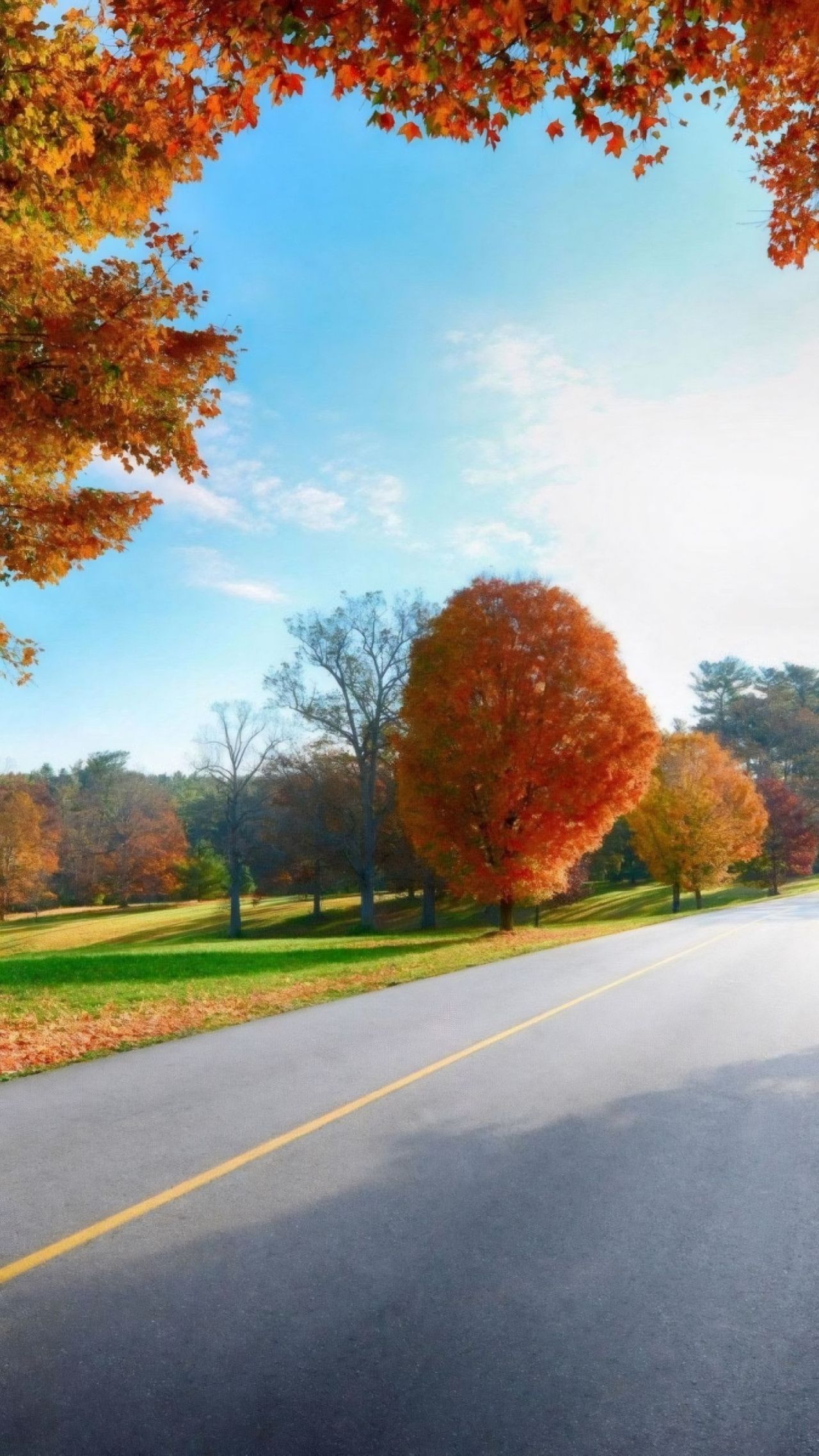 Autumn road with colorful trees