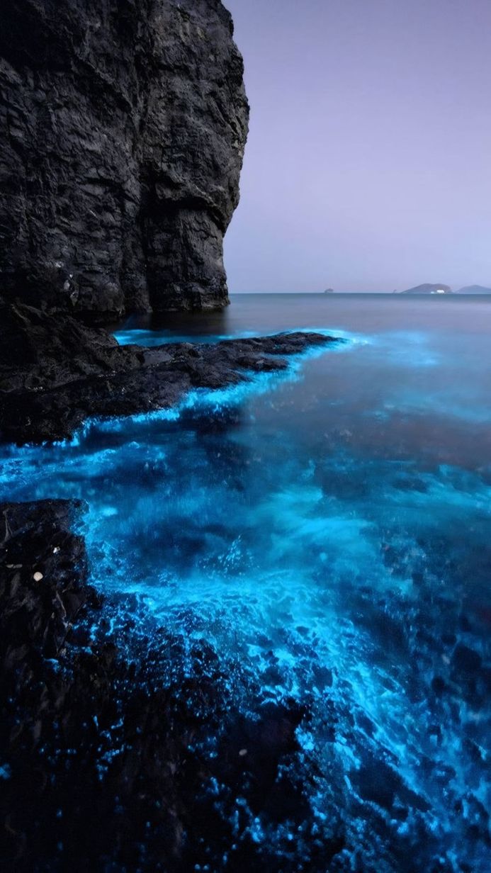 Bioluminescent waves crashing against a dark rocky cliff at dusk