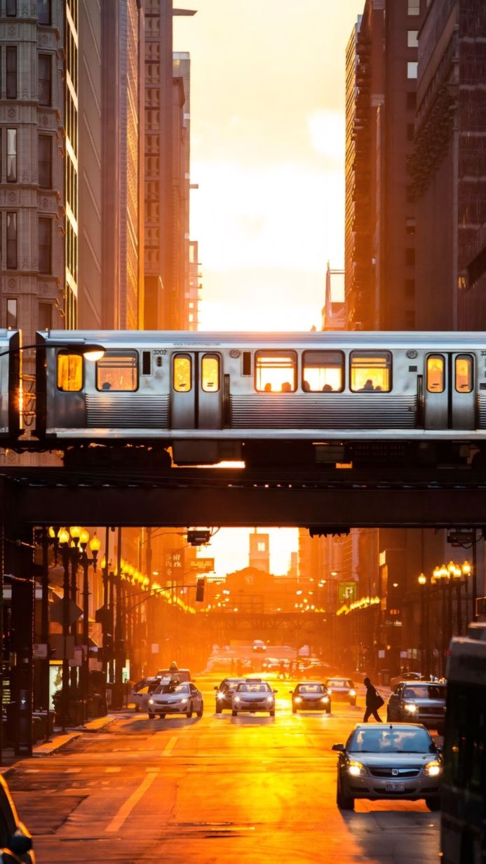 Chicago cityscape during golden hour with train on elevated tracks and cars on street