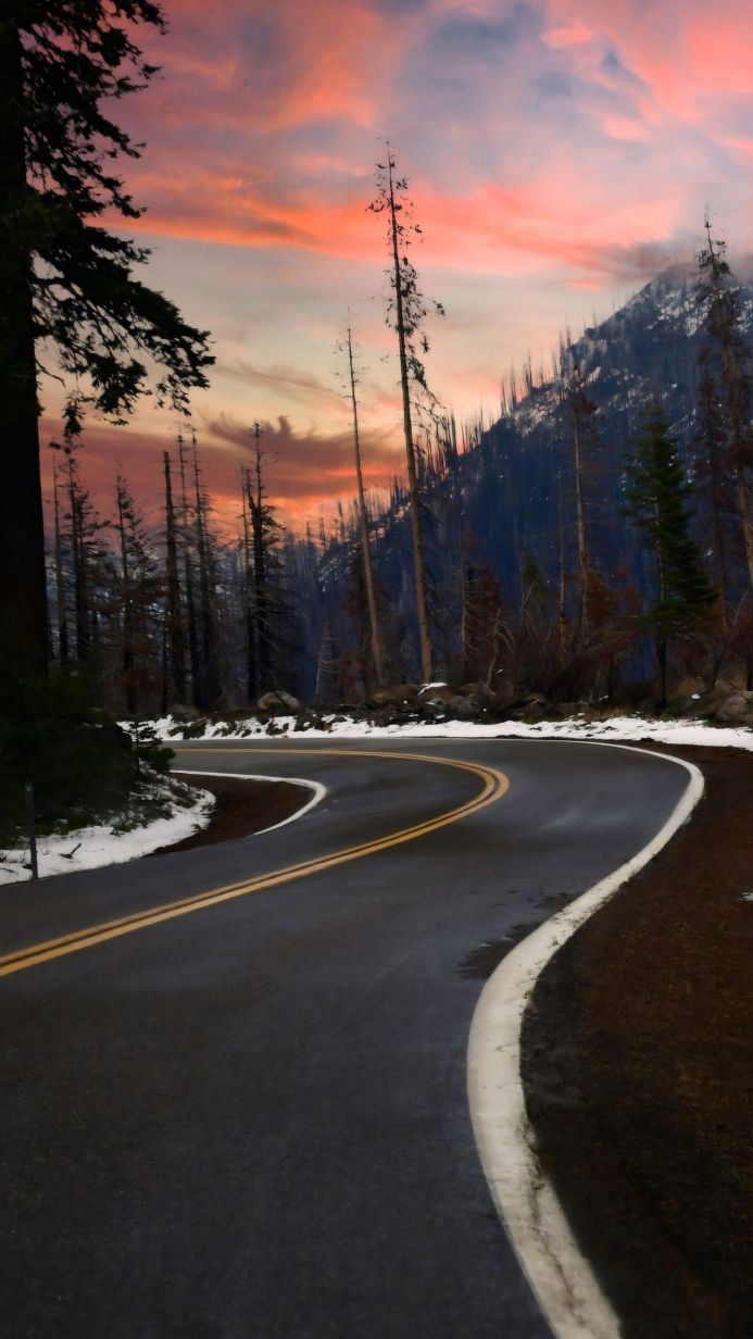 Curving road through a forest at sunset with a mountain in the background