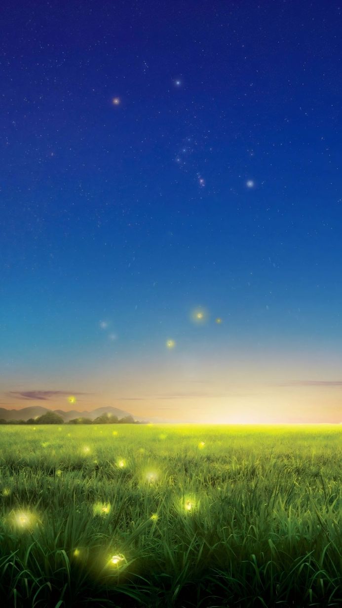 A field of green grass with fireflies under a blue starry sky at night