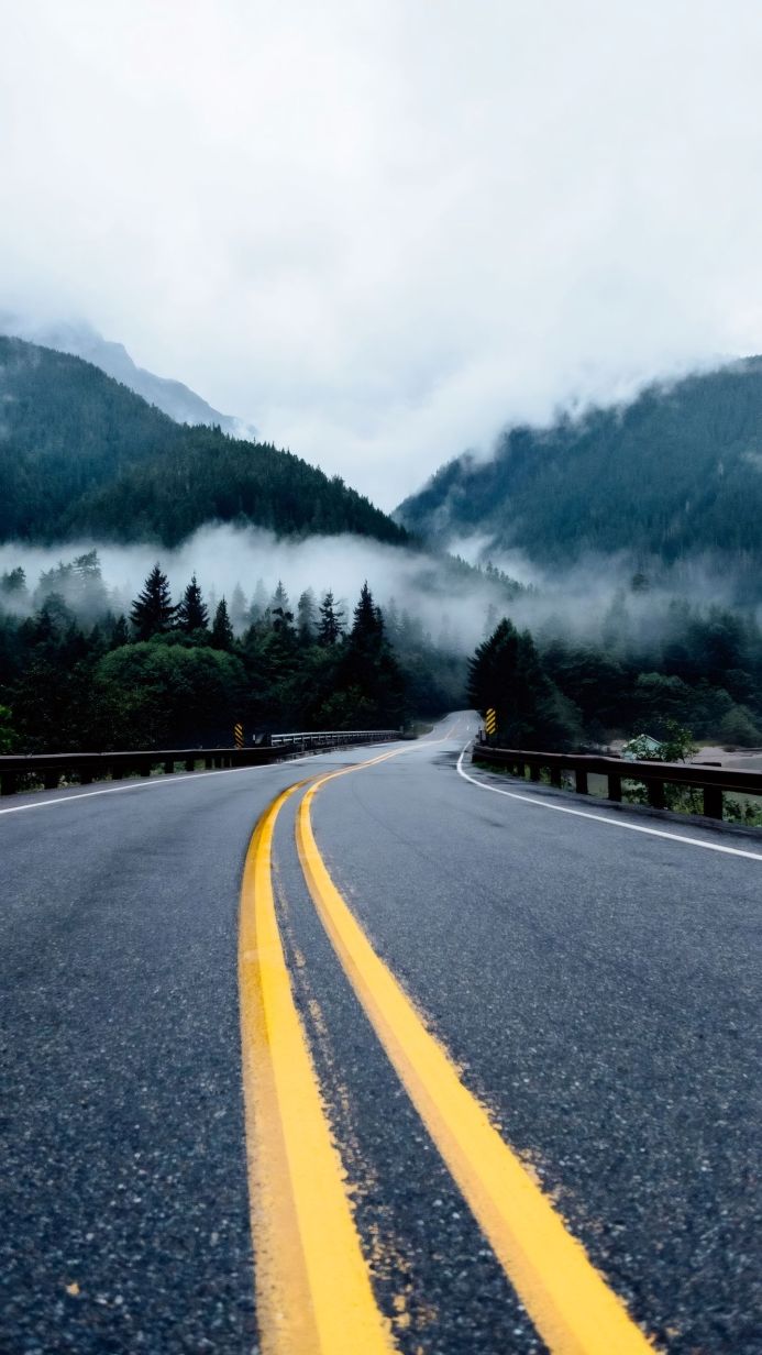 Winding road through foggy mountains with evergreen trees and yellow lines on the asphalt