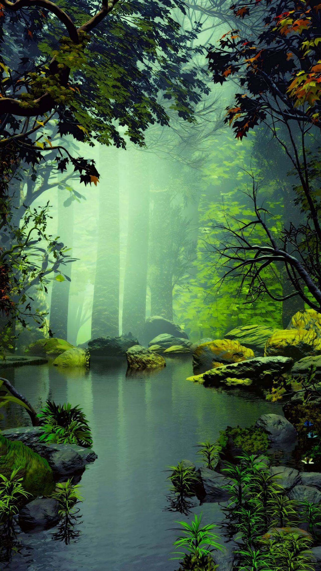 Misty forest pond with green trees and rocks