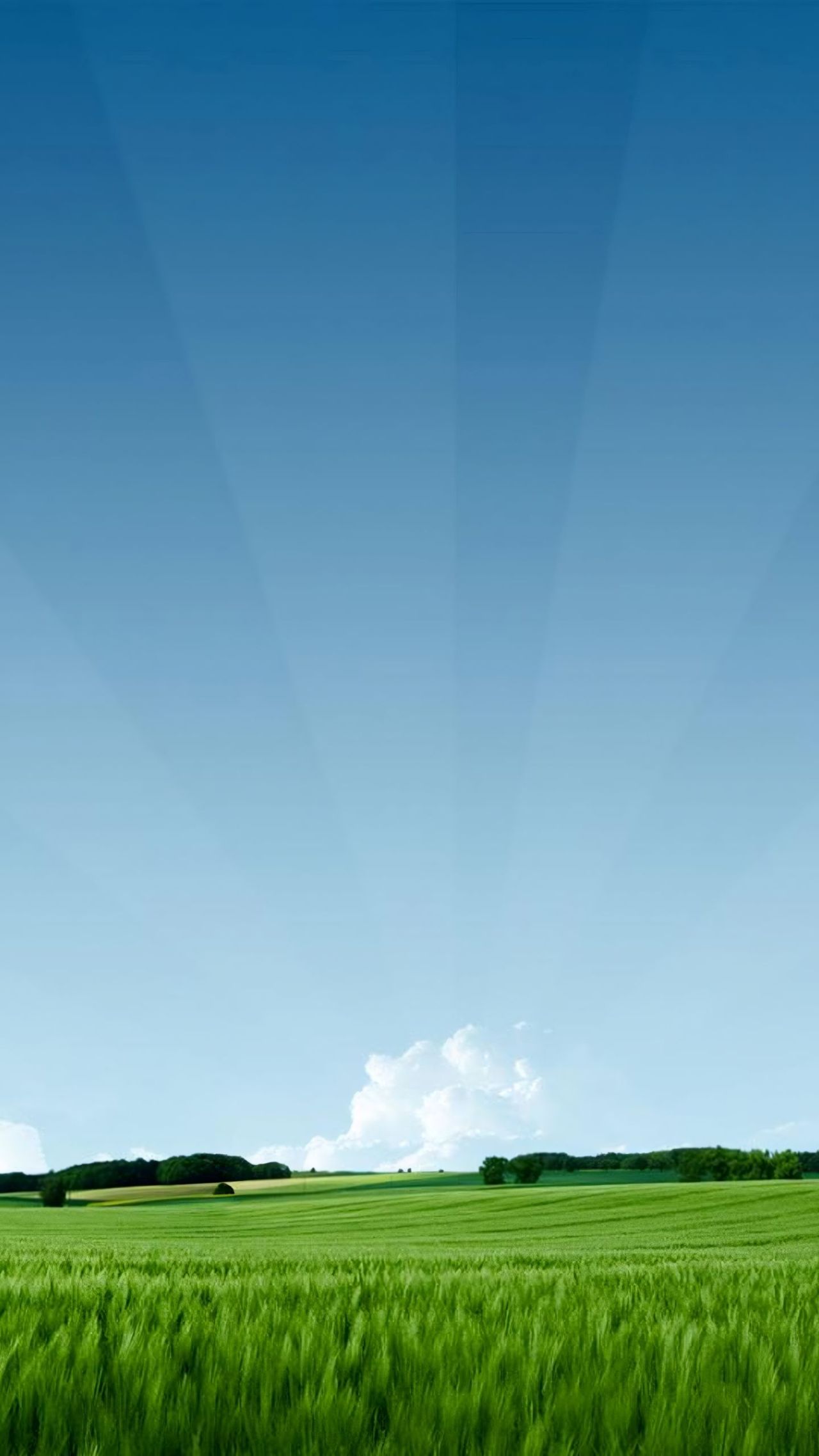Green field blue sky sun rays landscape