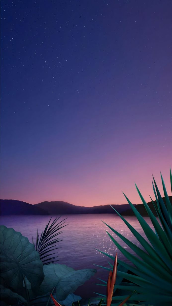 Night landscape with a lake, mountains, stars, sky and tropical plants