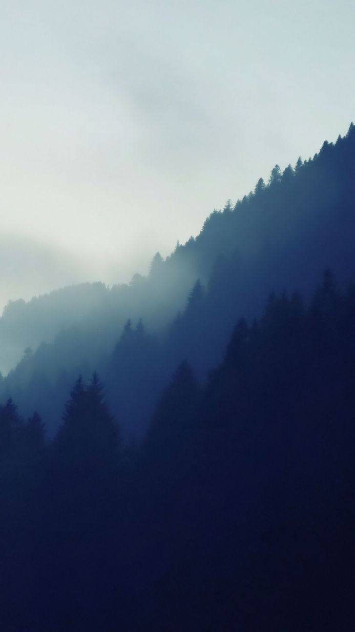 Misty forest landscape with trees in shades of blue and grey