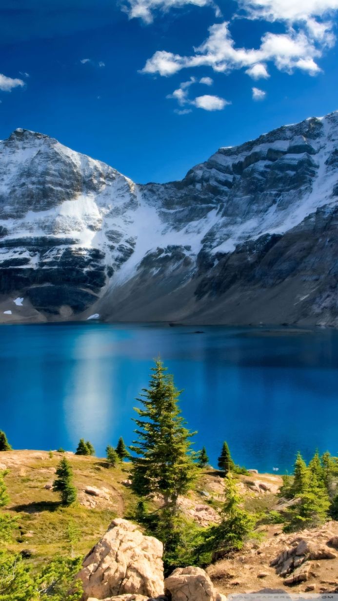 Mountain lake surrounded by snow-capped mountains and green trees under a blue sky