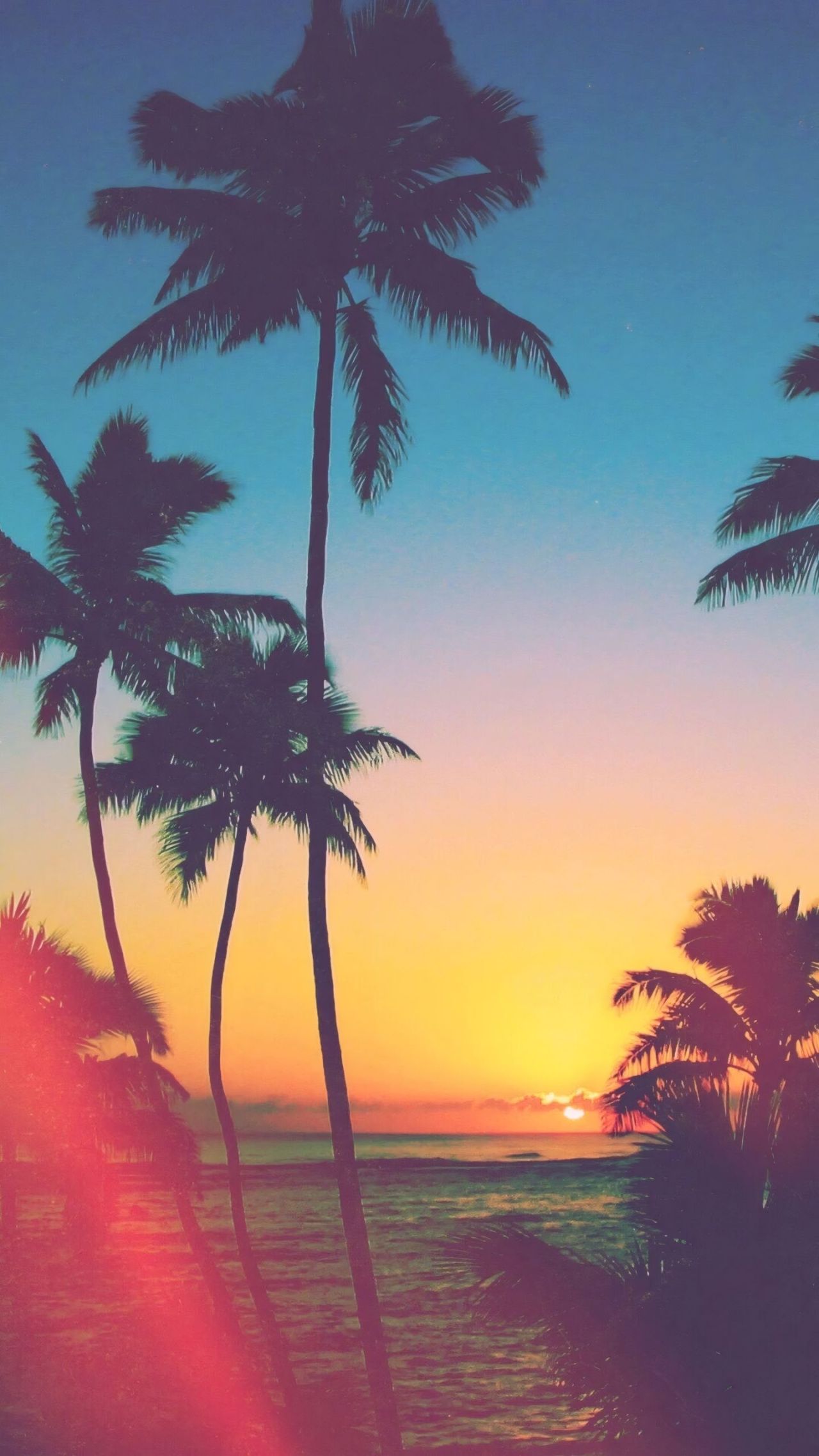 Silhouetted palm trees against a colorful sunset sky