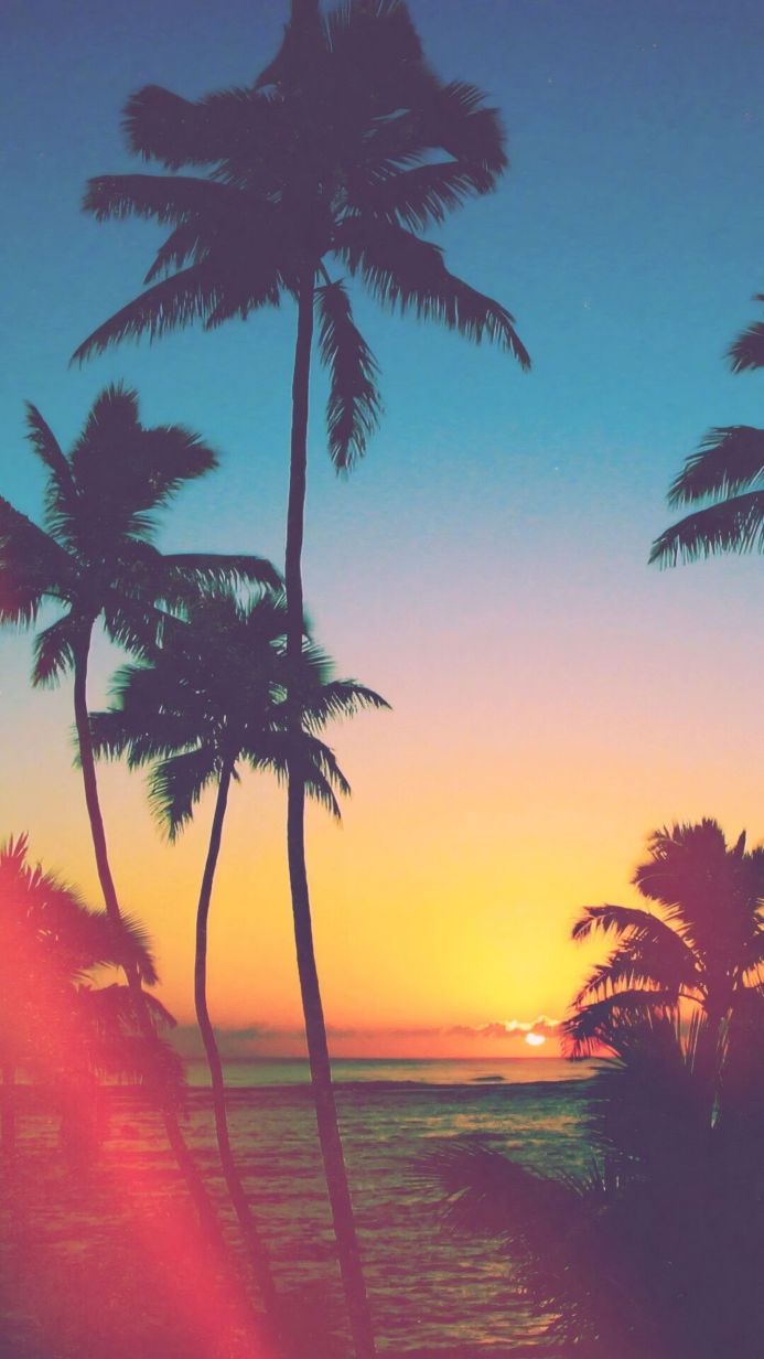 Palm trees silhouetted against a vibrant sunset over the ocean