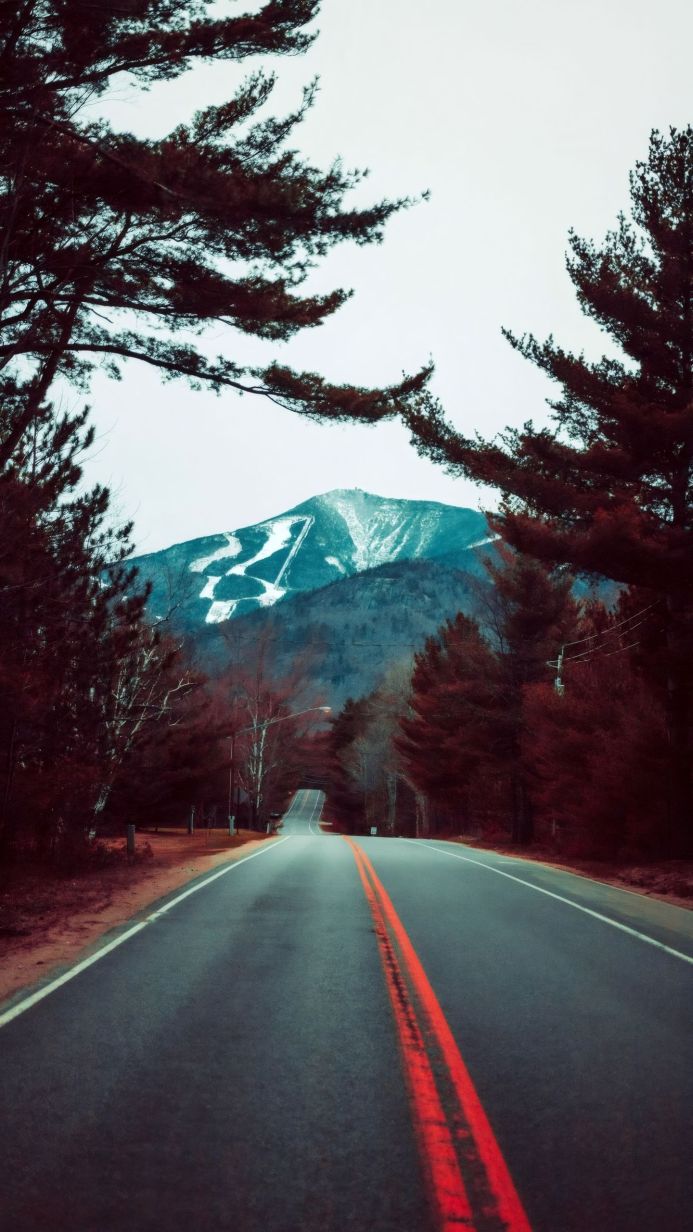 Road leading to a mountain with ski slopes, surrounded by trees