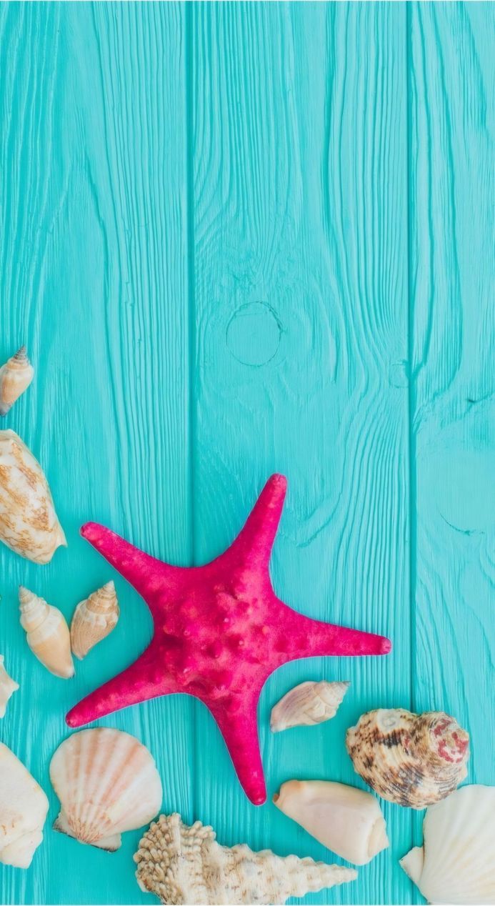 Starfish and seashells on a turquoise wooden background