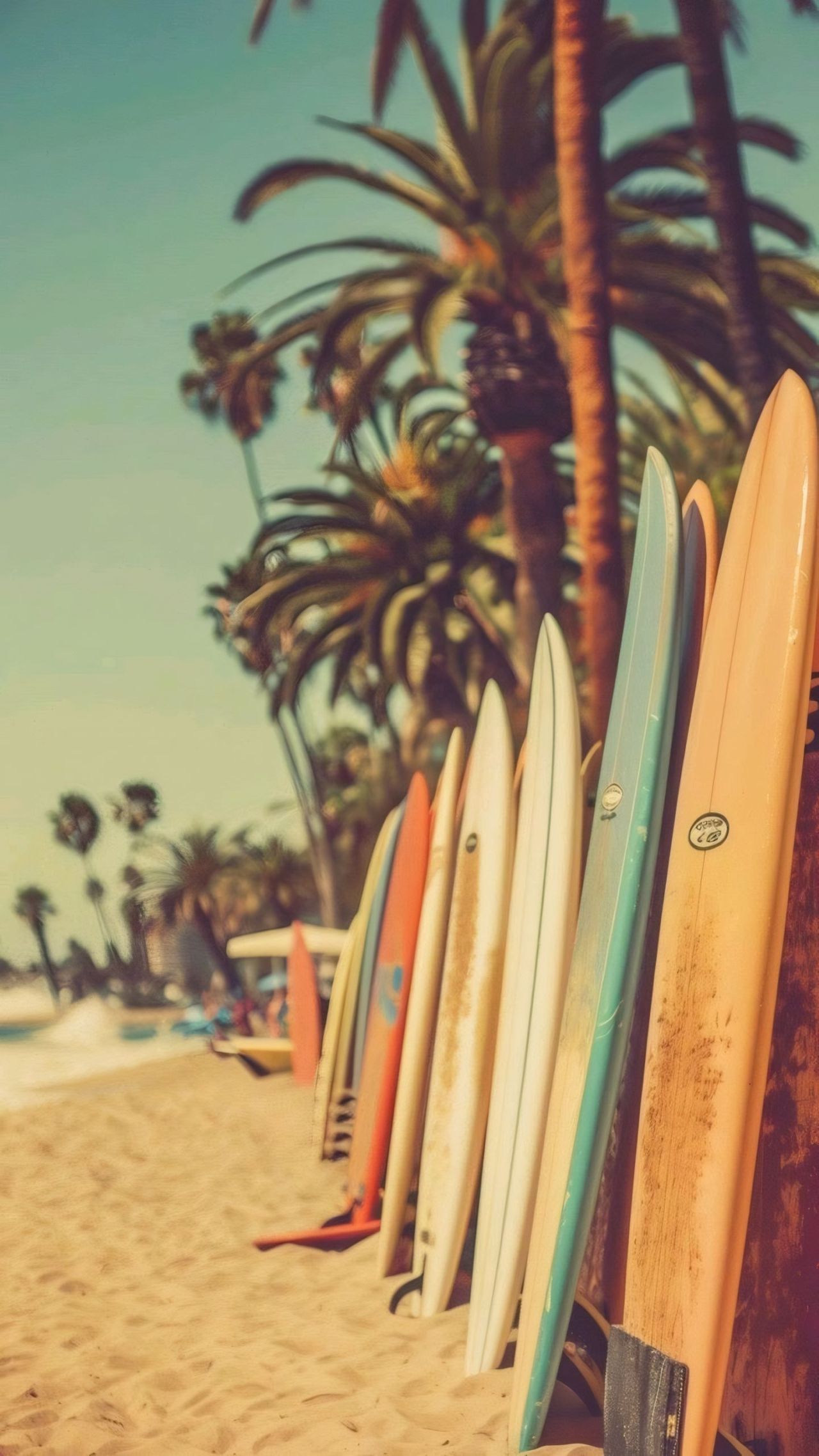 Surfboards lined up on a beach with palm trees