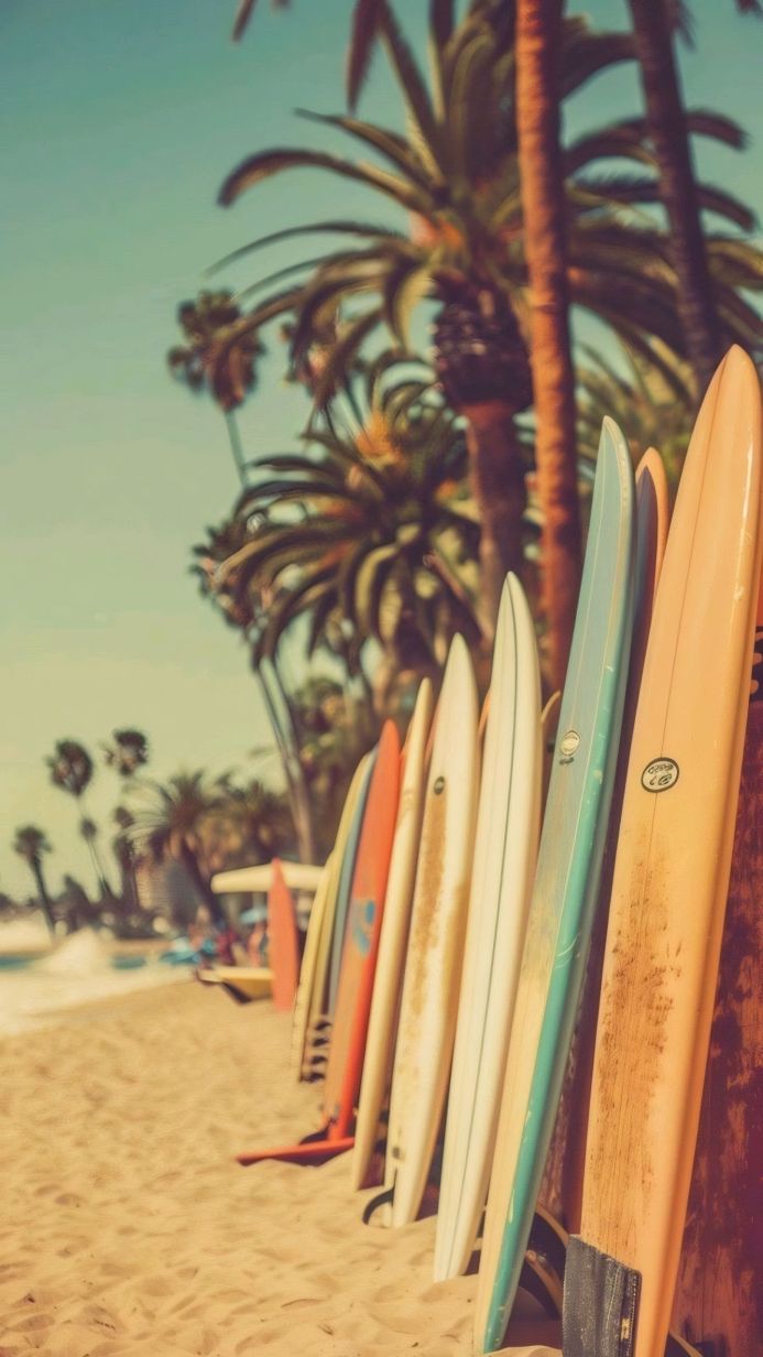 A row of surfboards leaning against palm trees on a sandy beach