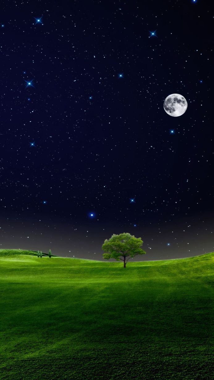 A tree on a green hill under a starry night sky with a full moon