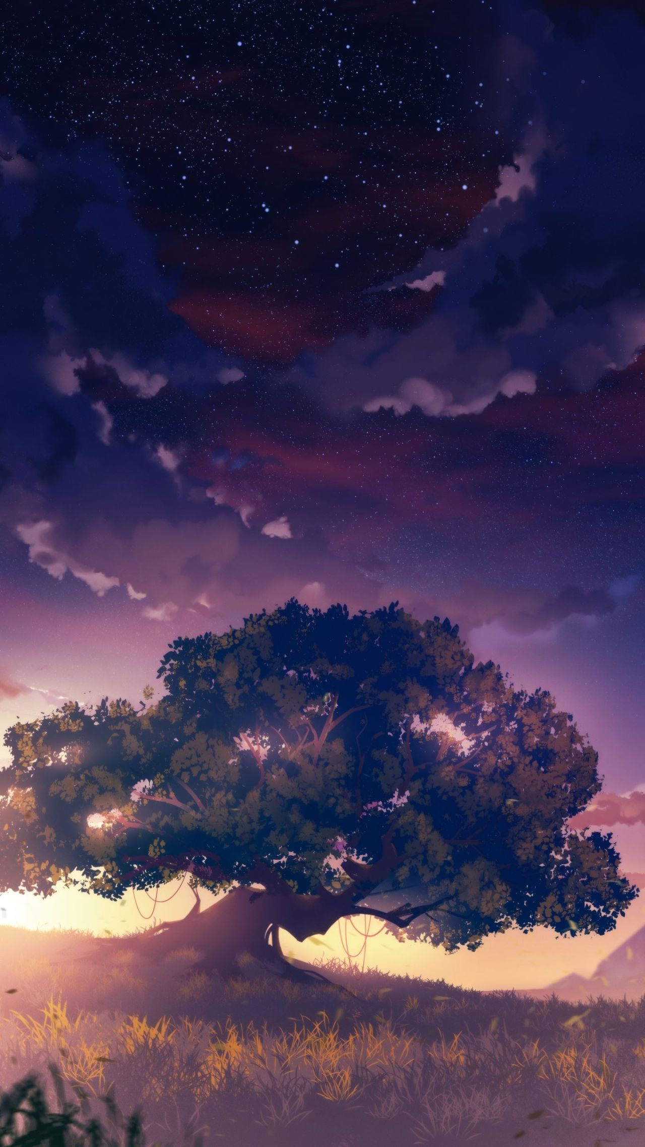 Large tree silhouette under starry night sky at sunset