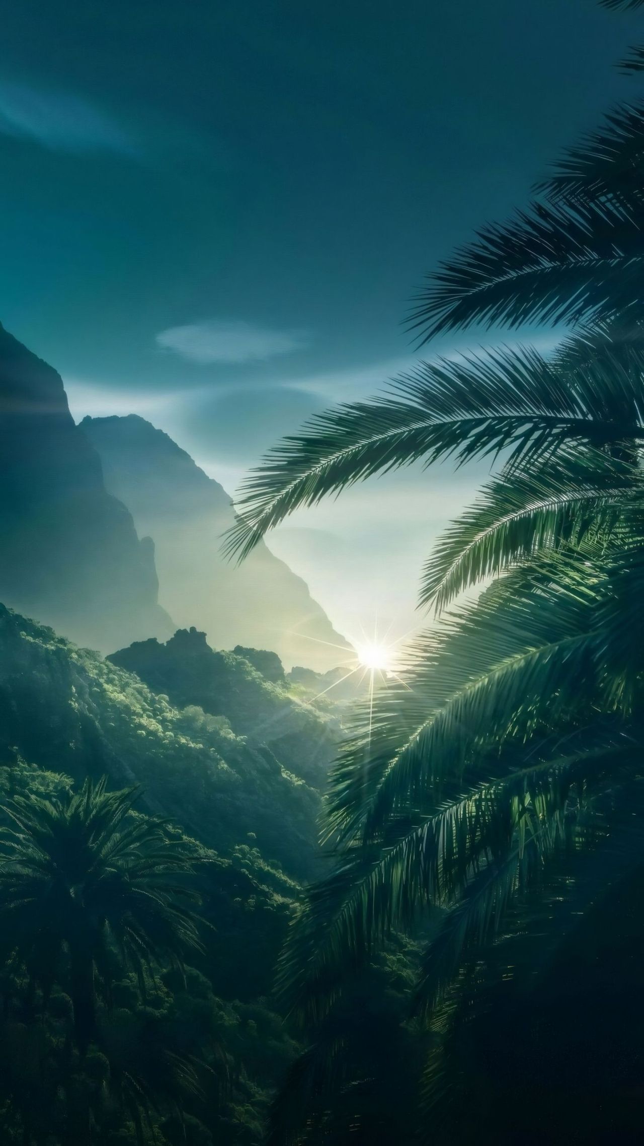 Tropical valley with palm trees and sunburst