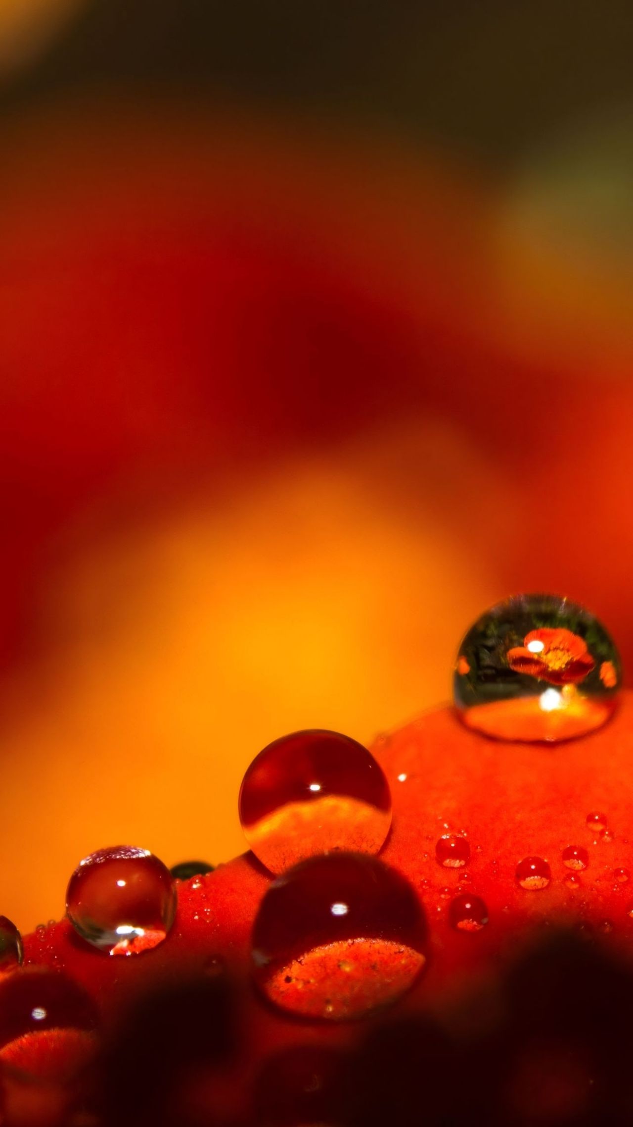 Macro of water droplets on red surface reflection