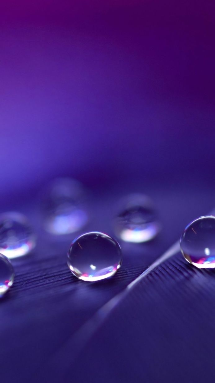 Macro photo of water drops on a purple surface, with reflections inside the drops