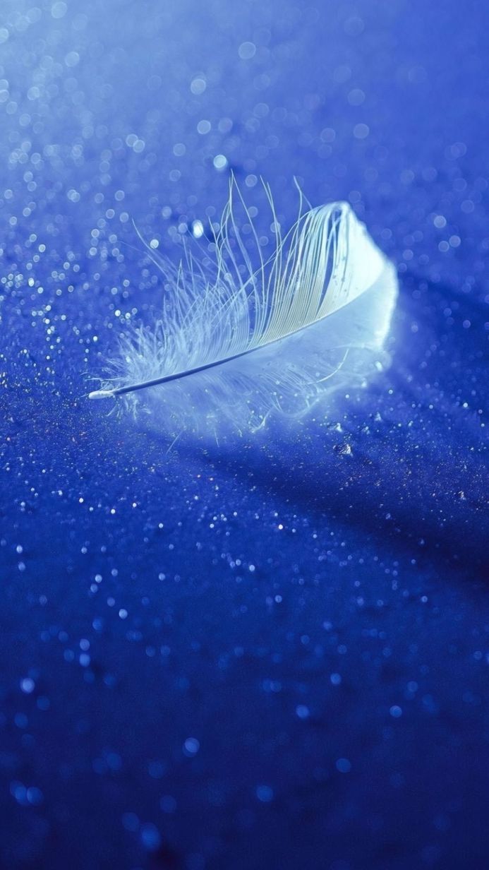 White feather on sparkling blue background