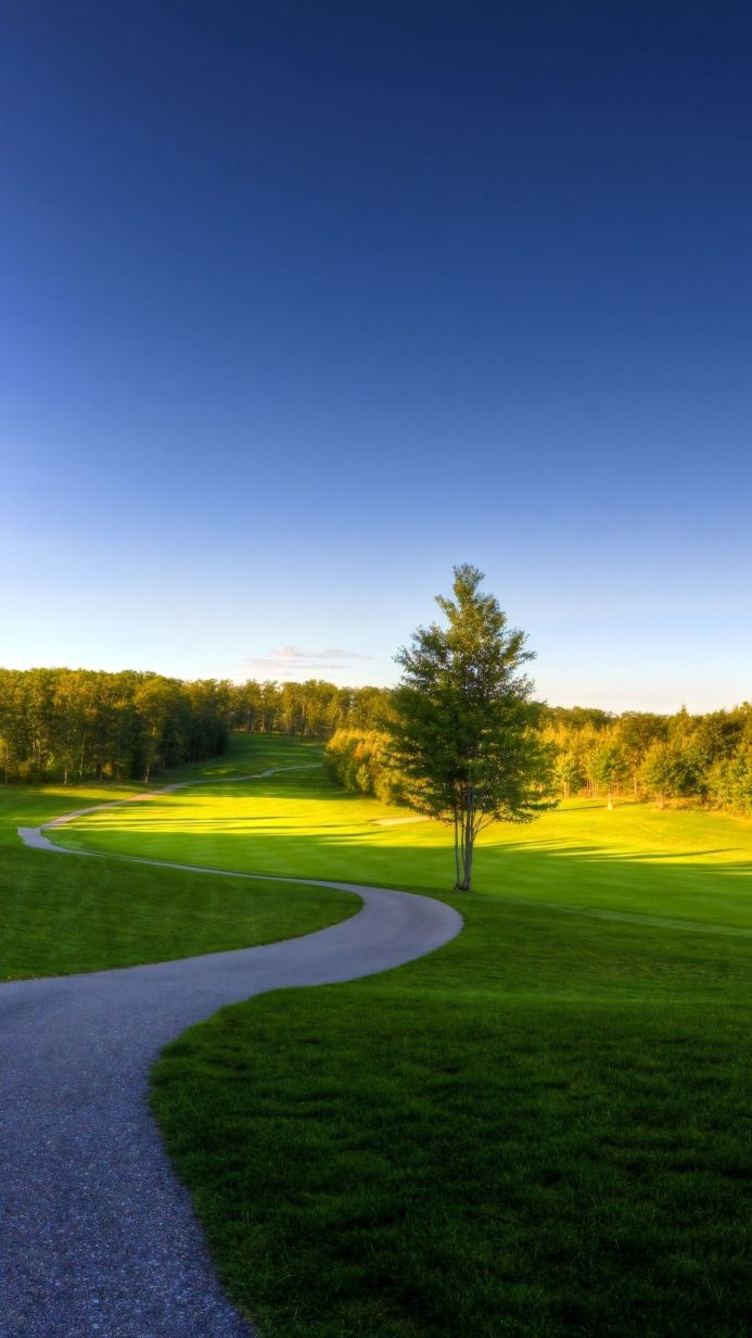 A winding path through a green field leads to a tree under a blue sky