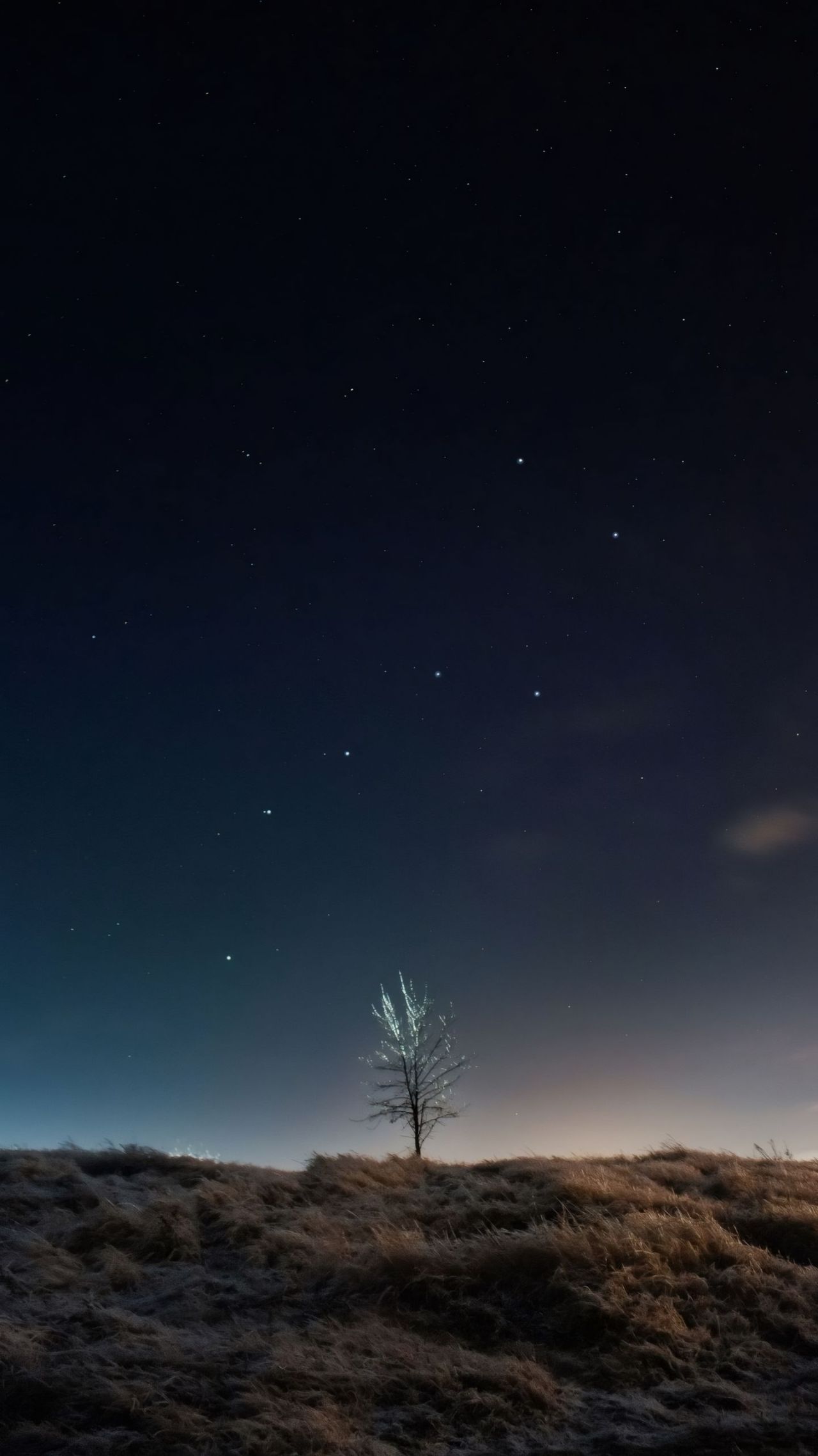 Lone tree on hill under starry night sky landscape