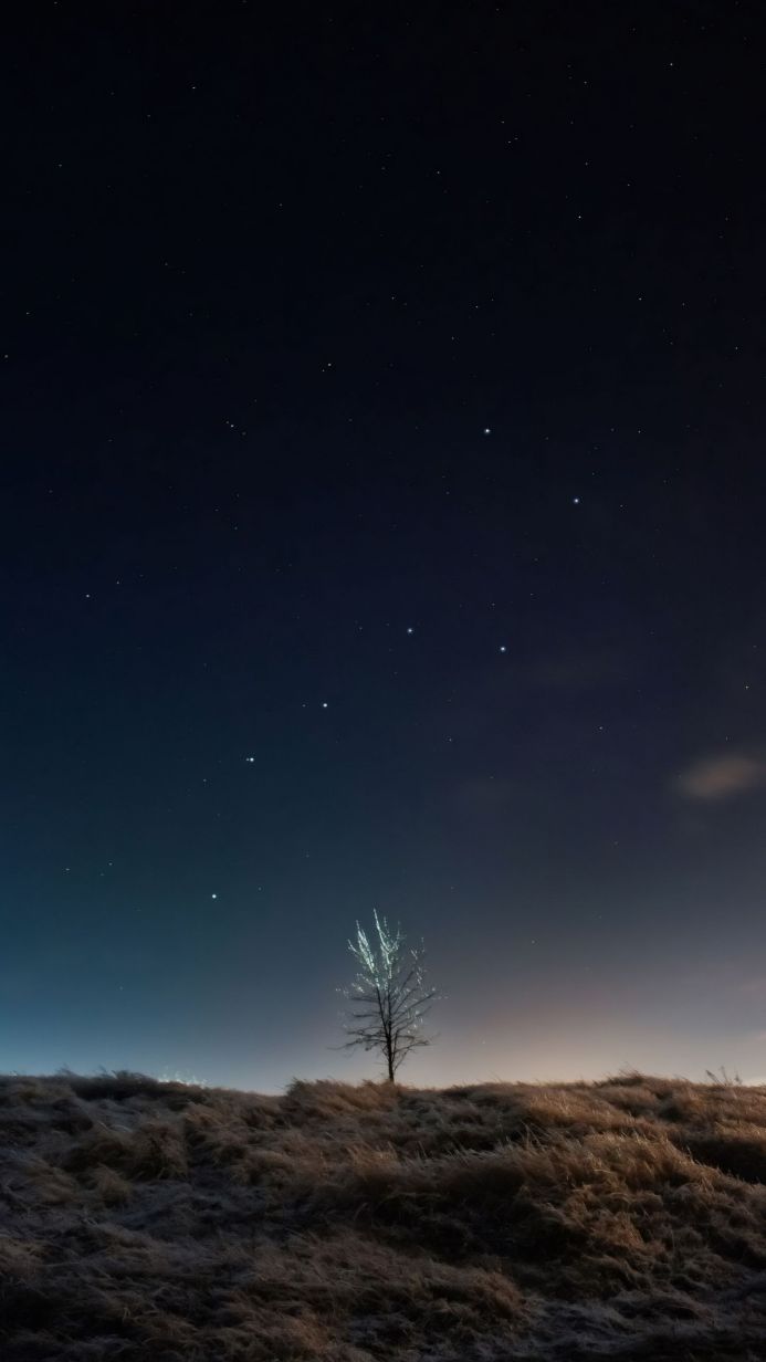 A lone tree stands under a starlit night sky on a field of frosted grass