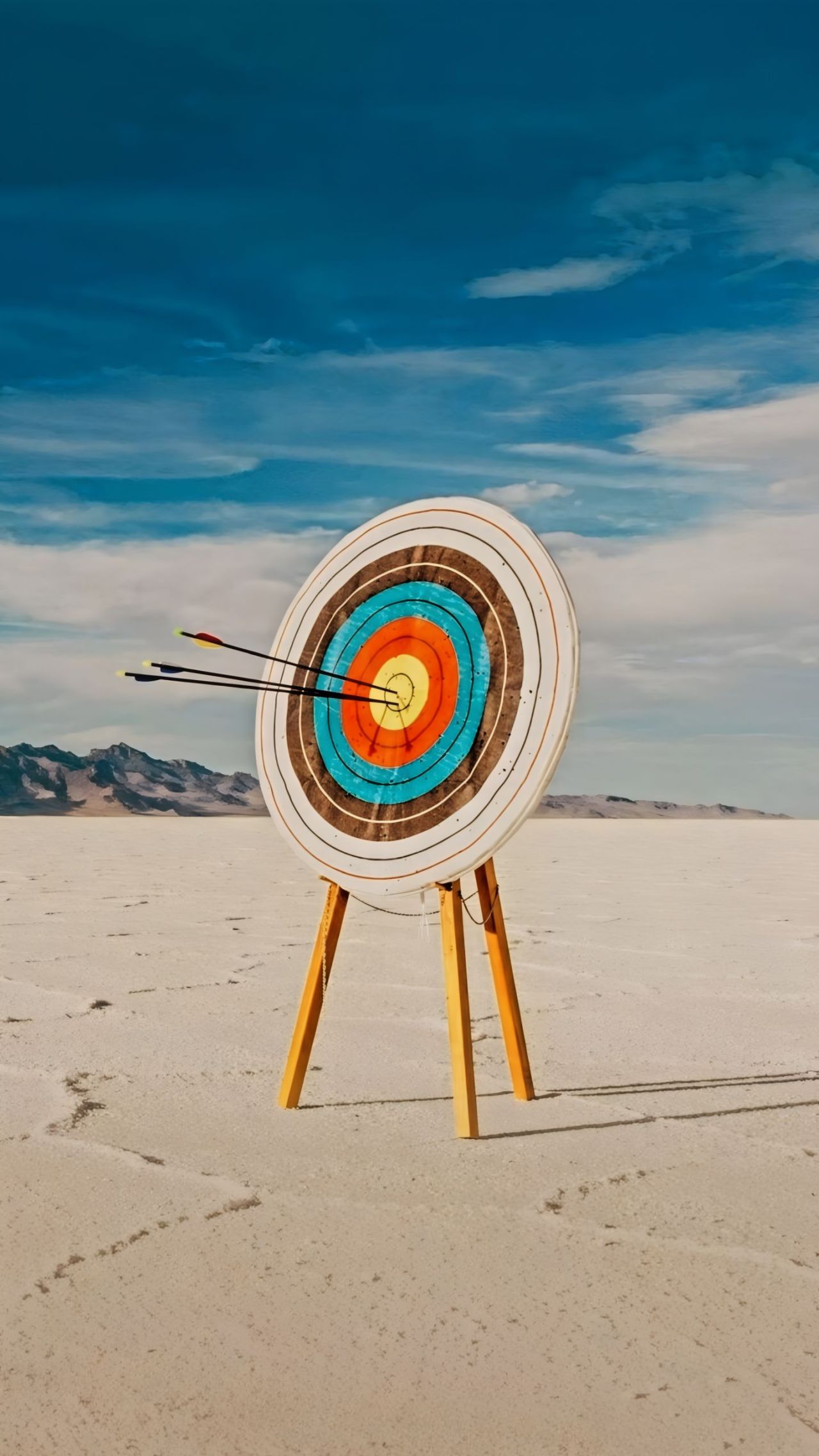Archery target with arrows