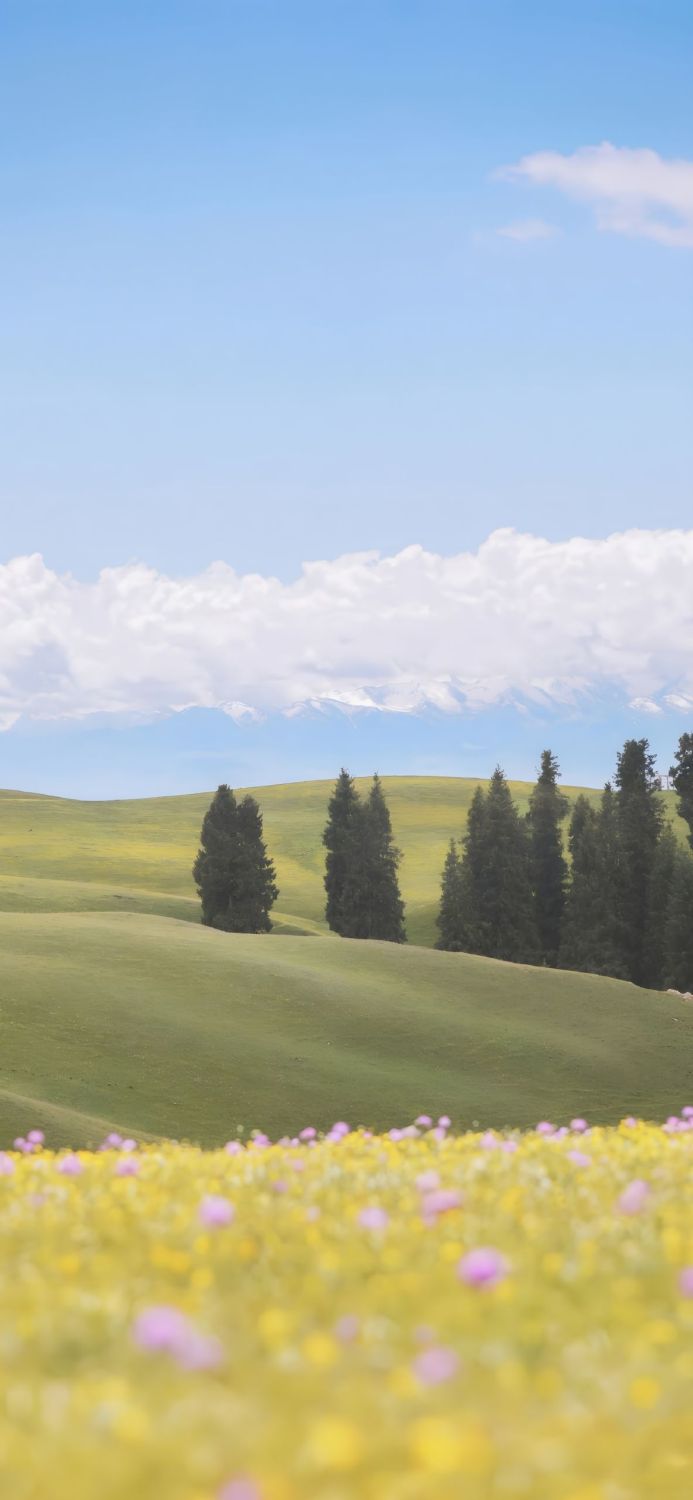 A green field with trees and flowers under a blue sky with clouds