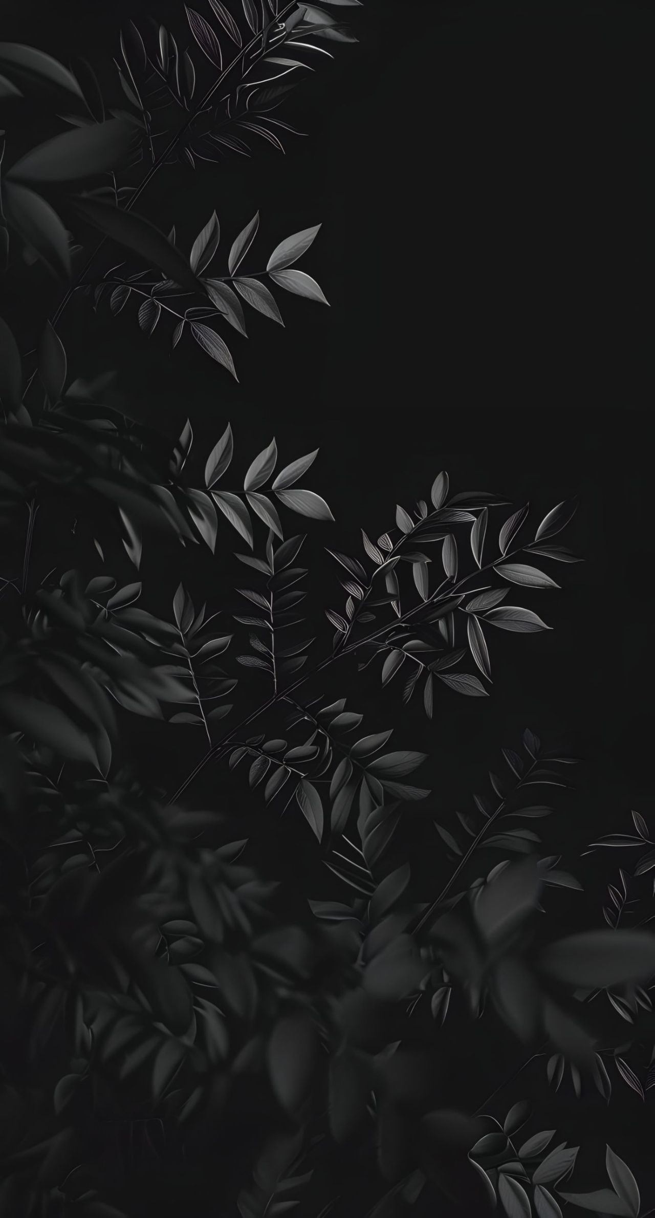 Monochrome leaves on a dark background