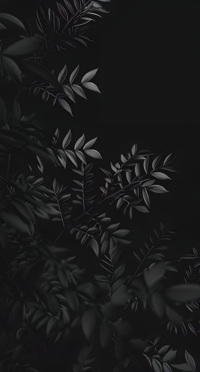 Monochrome image of leaves in varying shades of black