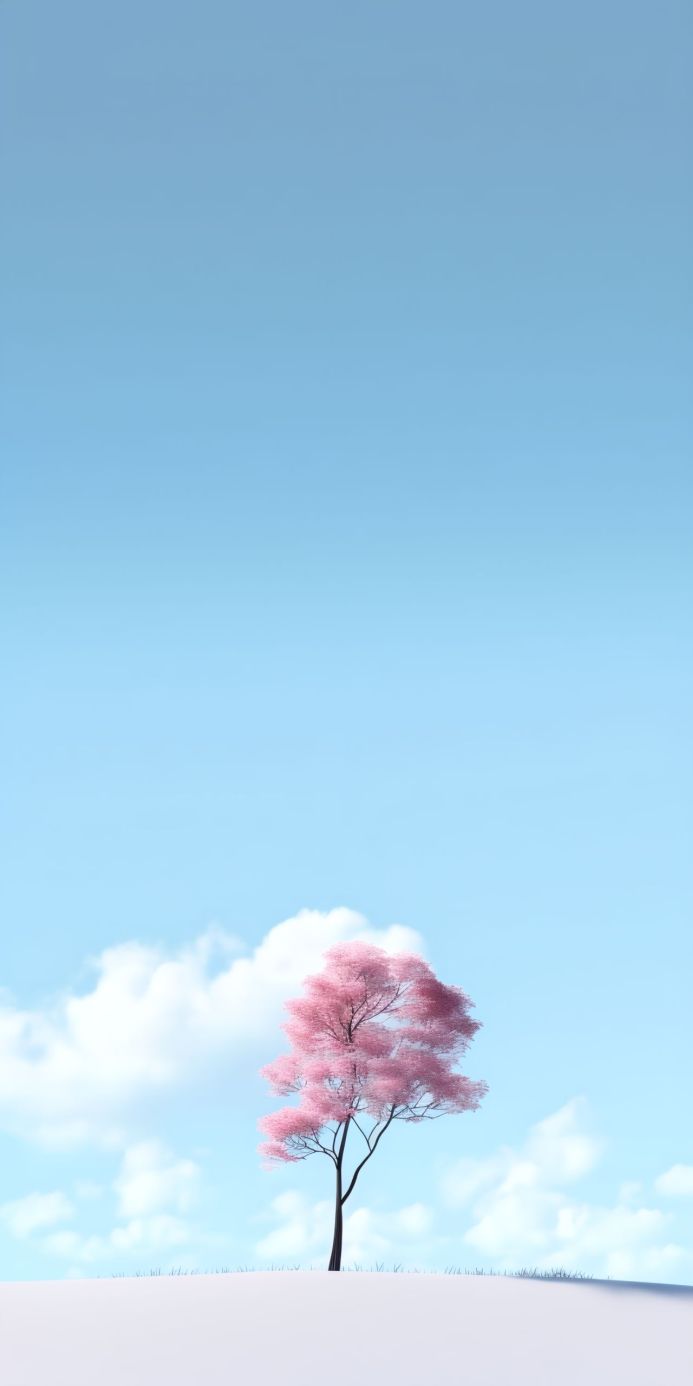 A pink cherry tree against a clear blue sky with clouds and a white ground