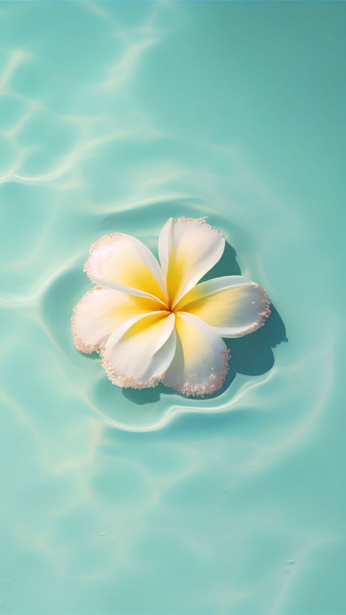 A single plumeria flower floating on the surface of teal water
