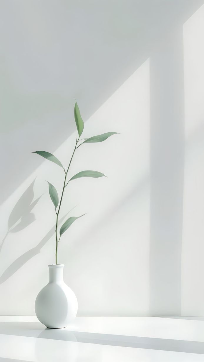 A simple white vase with a green plant against a white wall with shadows