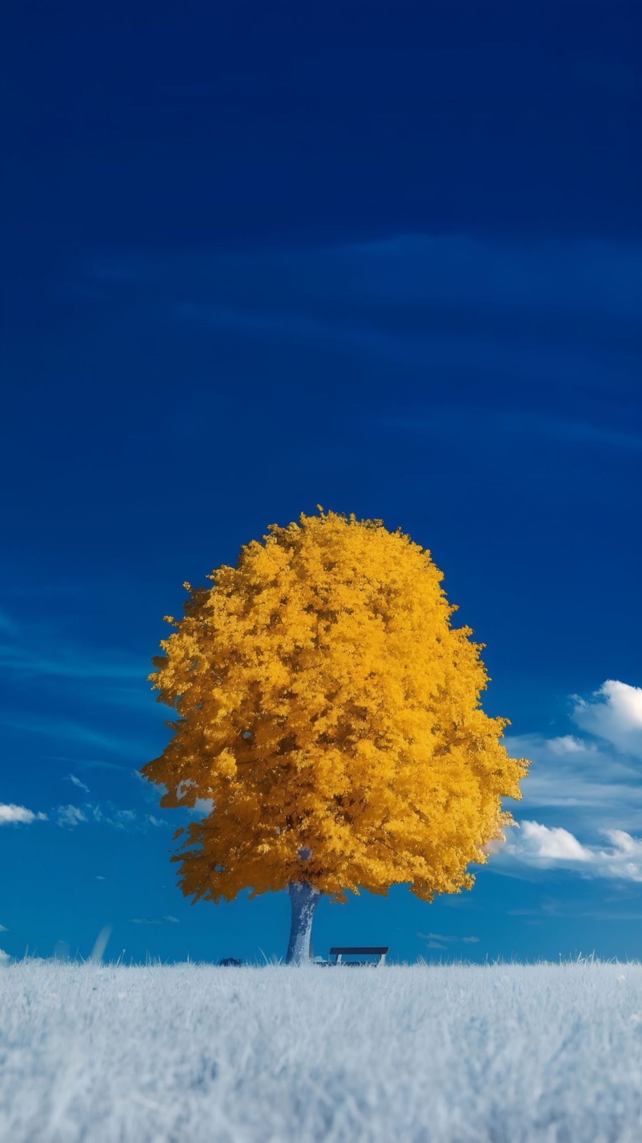 Bright yellow tree surreal landscape infrared photography