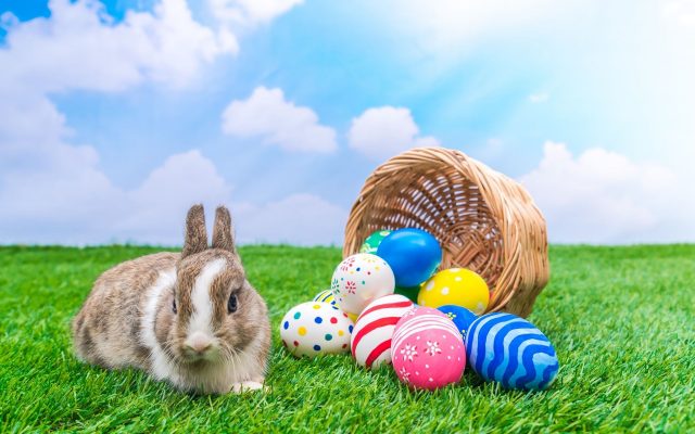 21 Easter Eggs with Rabbit Wallpapers - Wallpaperboat