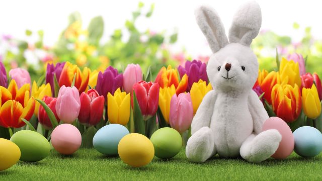 21 Easter Eggs with Rabbit Wallpapers - Wallpaperboat