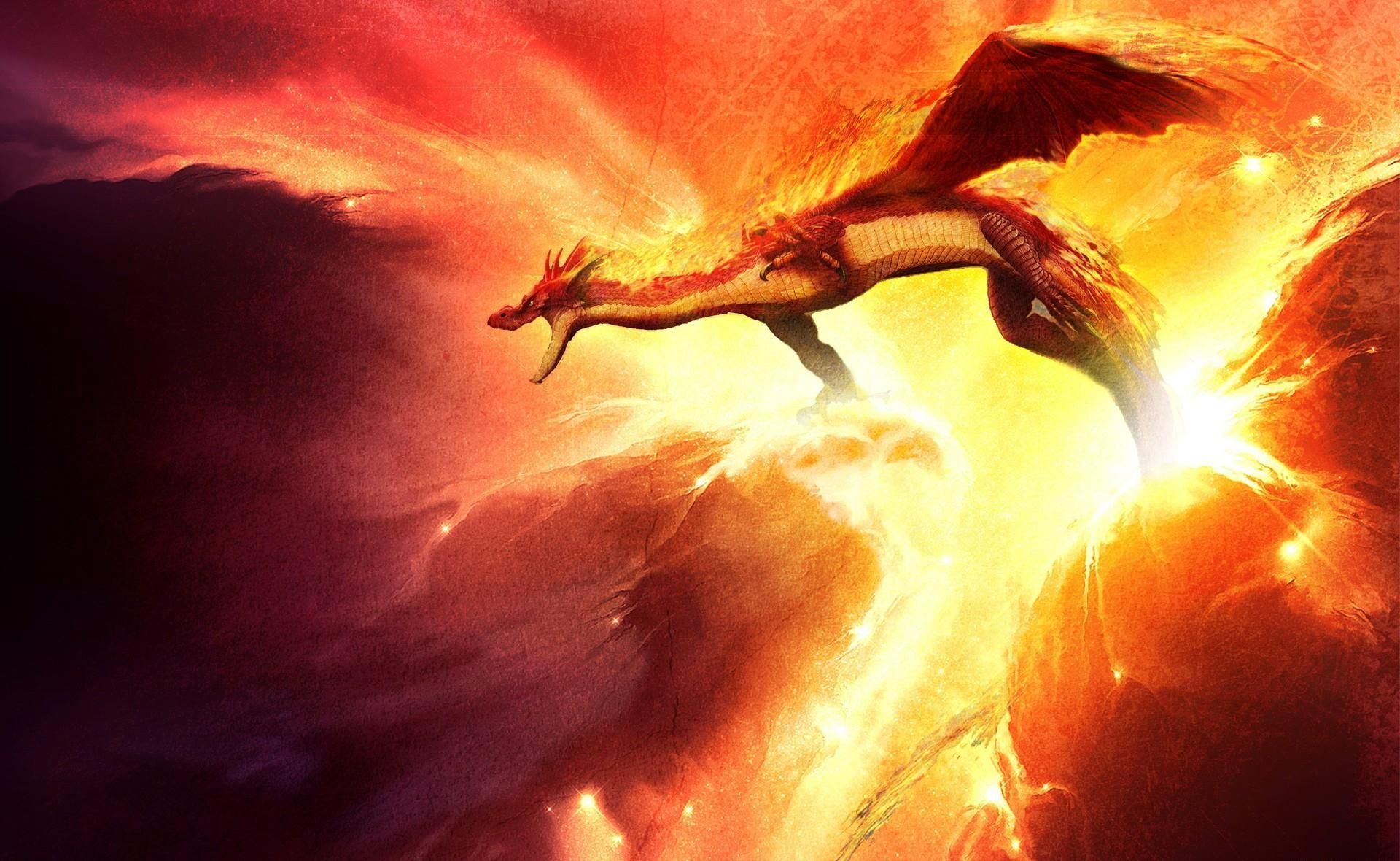 fire dragon background