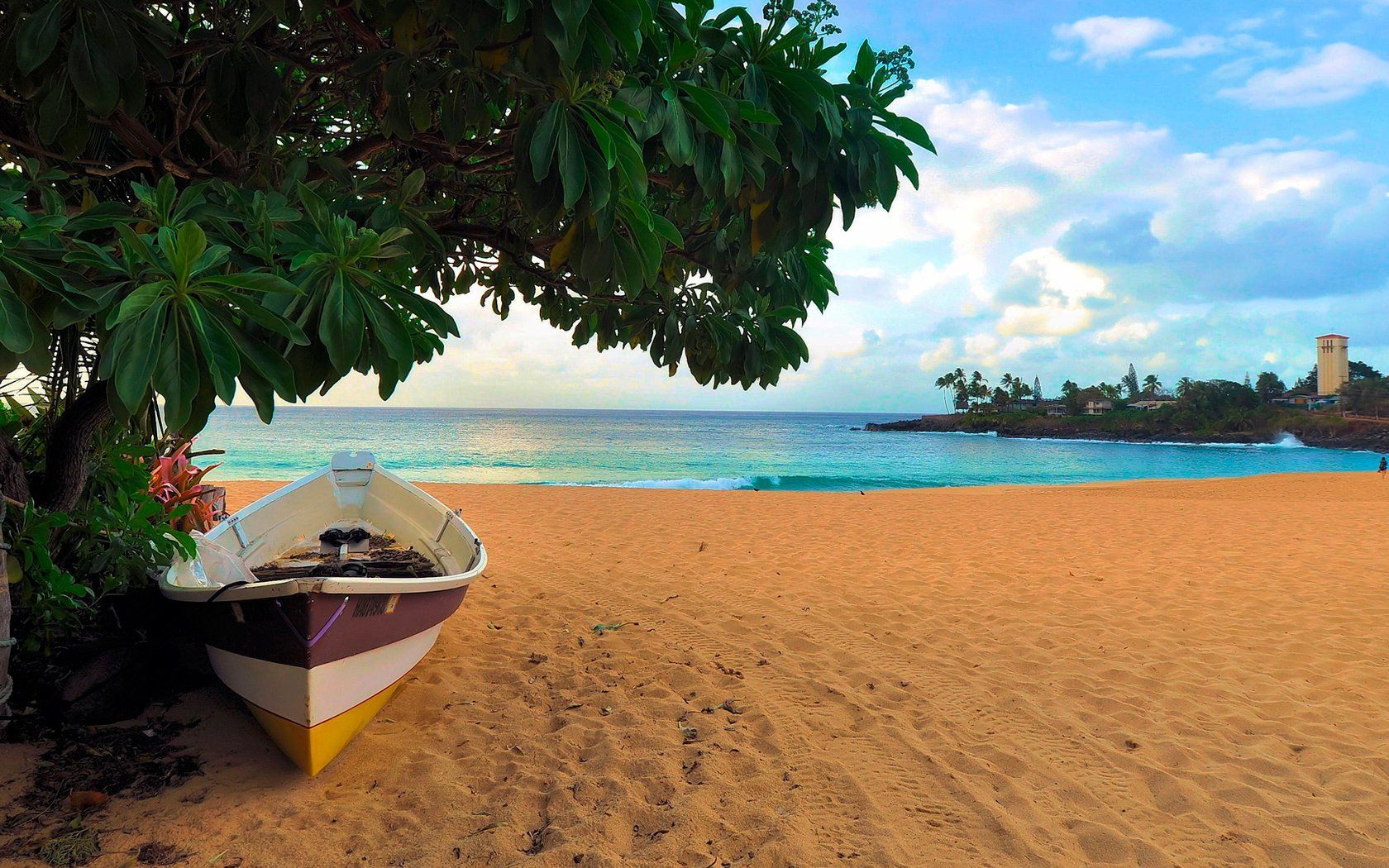 boat on the beach image