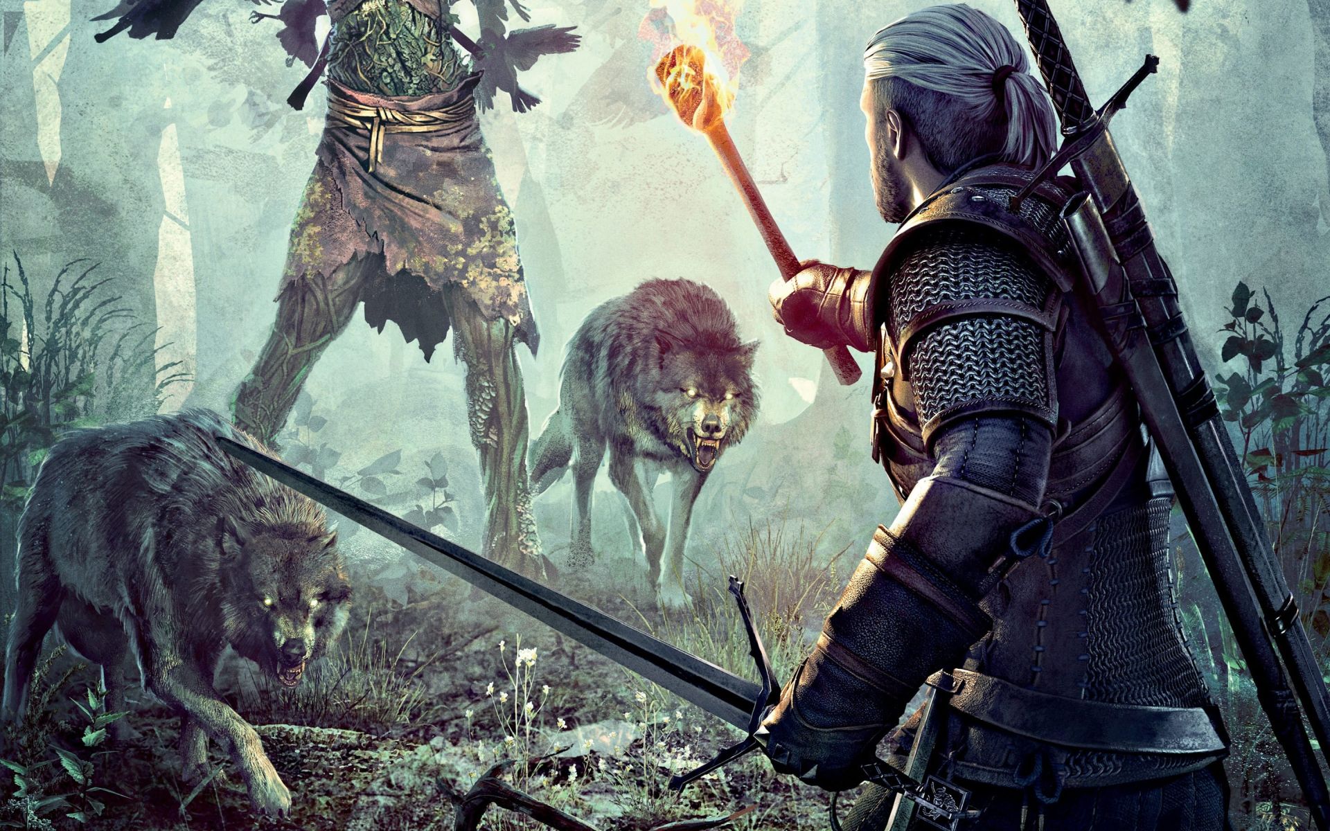 The Witcher, Image