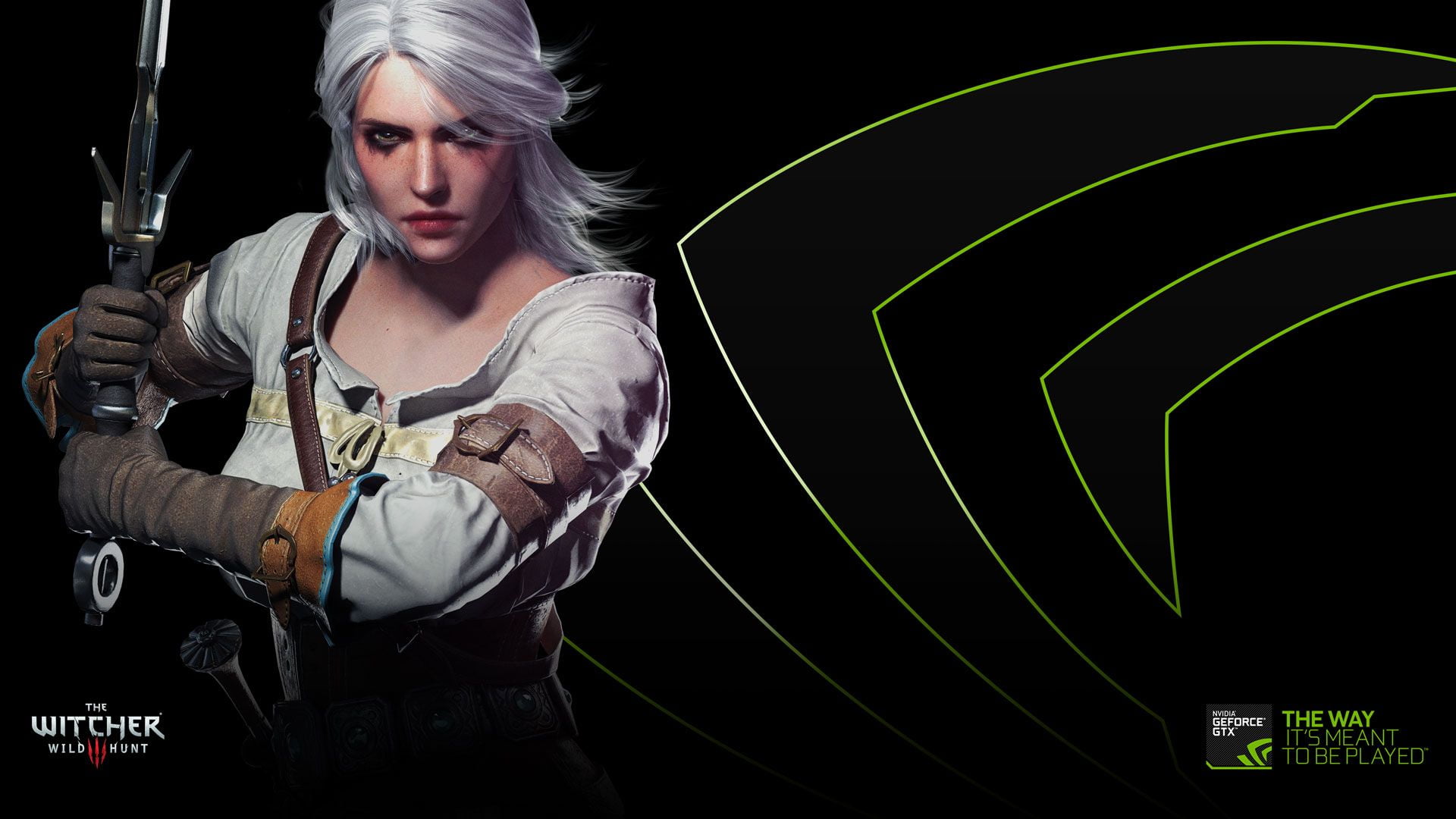 The Witcher, Wallpaper Theme