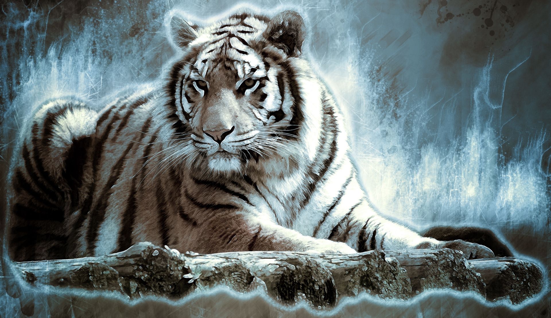 Tiger Art, Cool Wallpaper