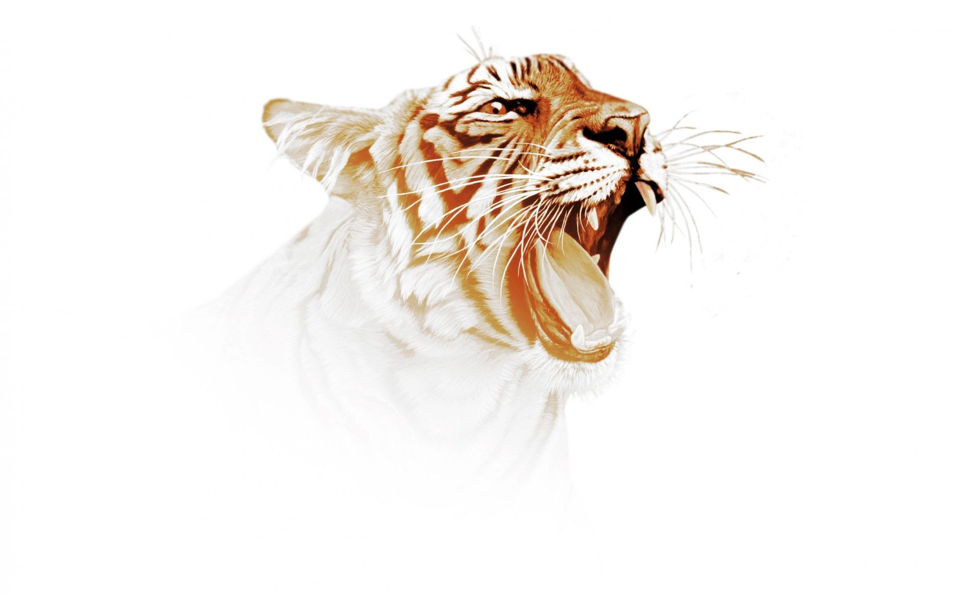 Tiger Roars Art, Cool Wallpaper