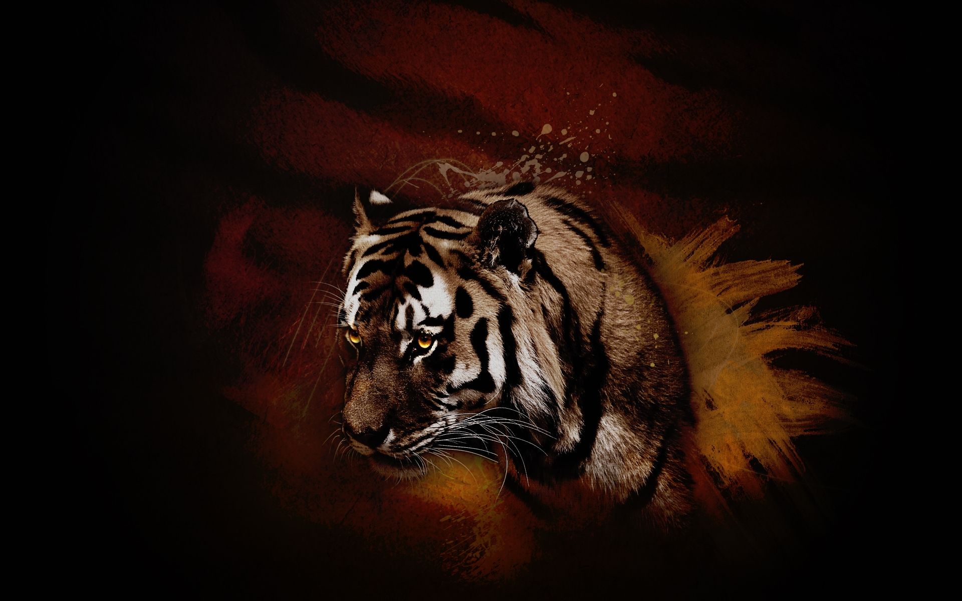 Tiger Art, Picture