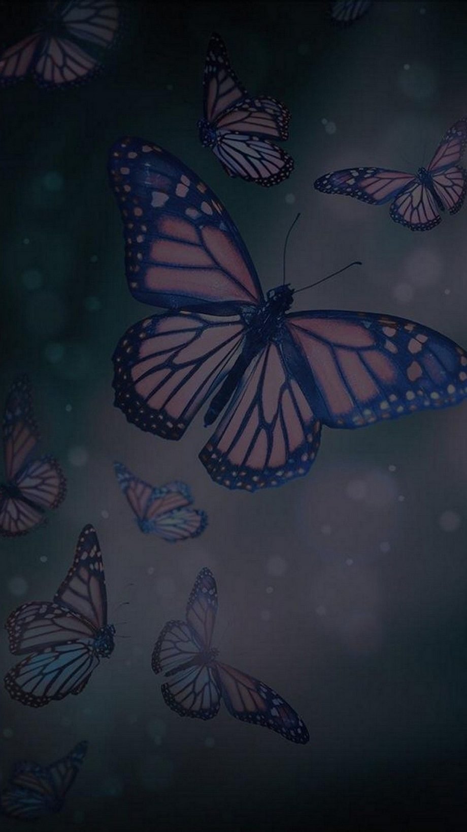 52 Butterfly iPhone Wallpapers - Wallpaperboat