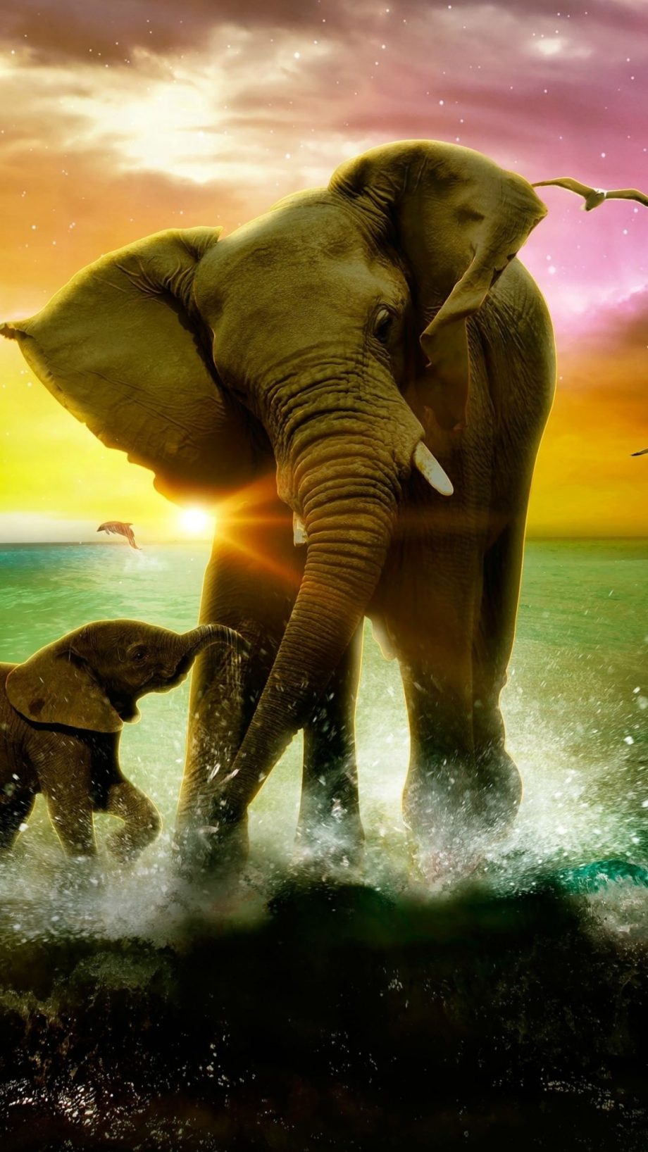 25 Elephant iPhone Backgrounds - Wallpaperboat