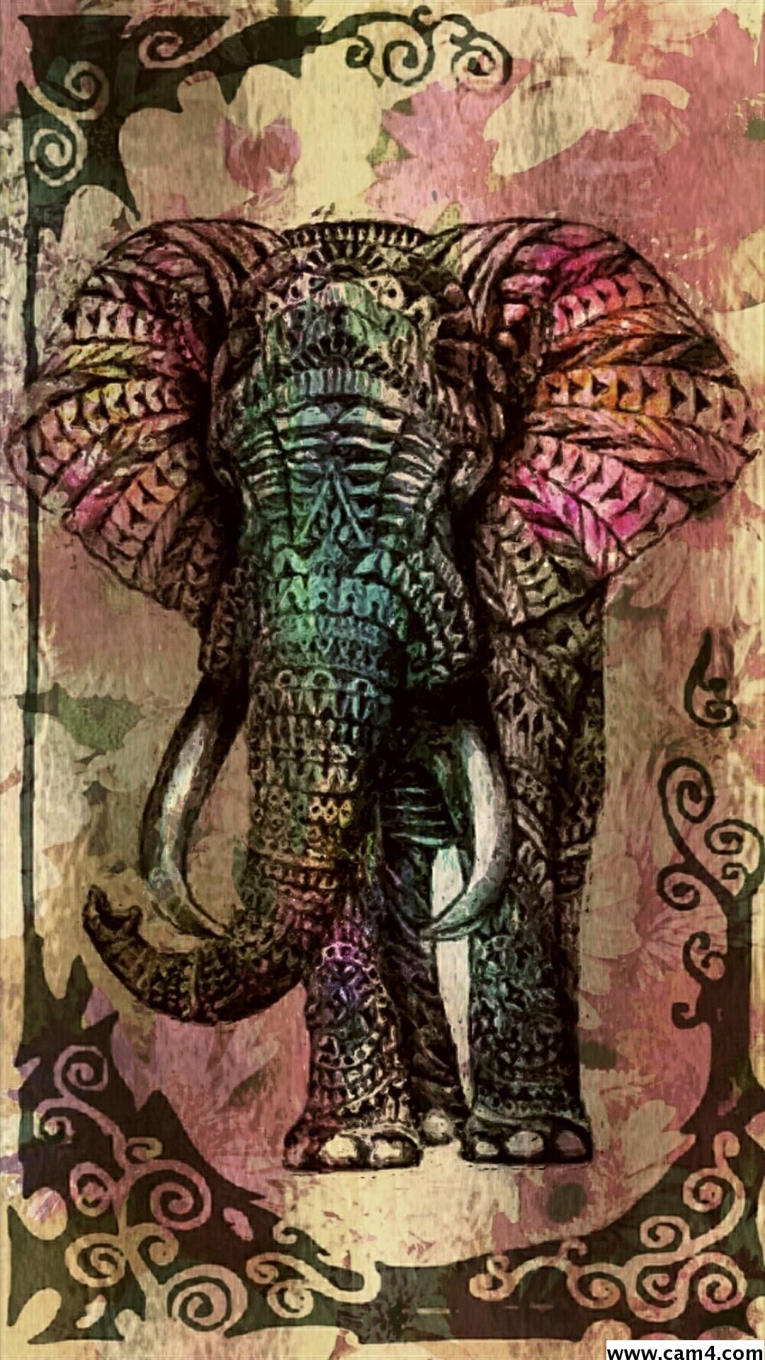 Elephant iPhone wallpaper high quality
