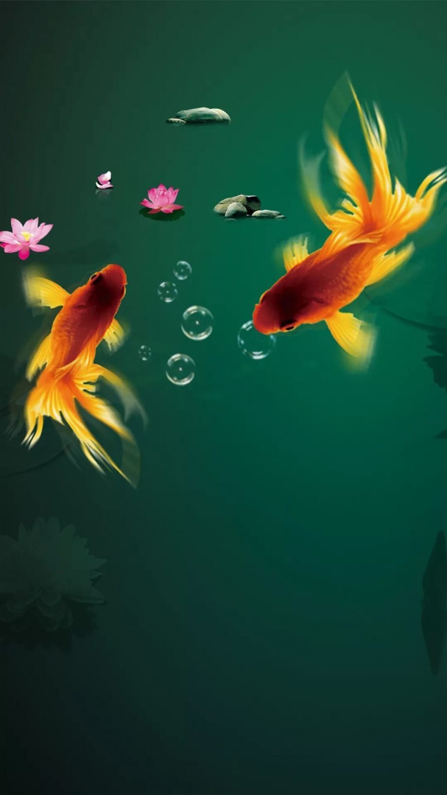 31 Fish iPhone Wallpapers - Wallpaperboat