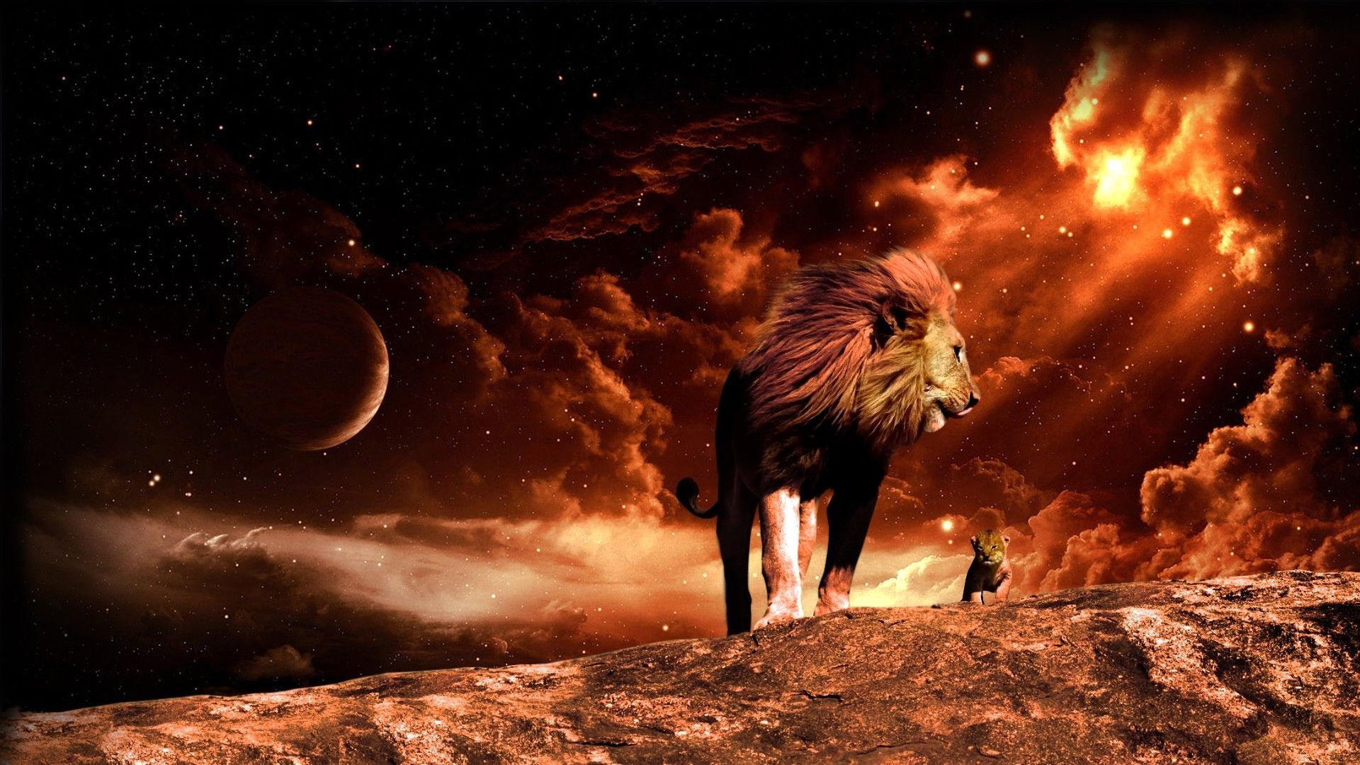 Lion Animal Art PC Wallpaper HD